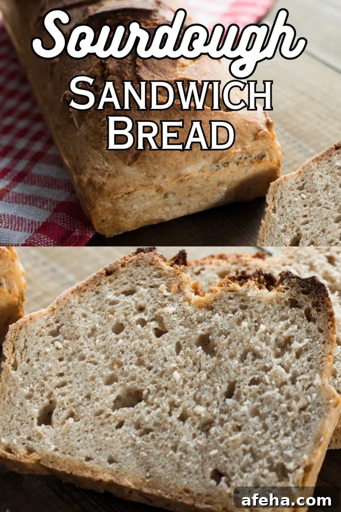 sourdough sandwich bread with text