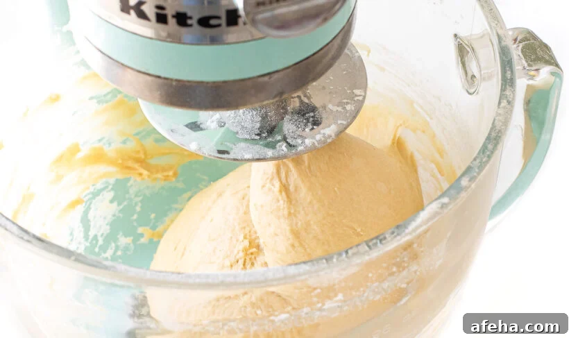 mixing dough with dough hook in stand mixer