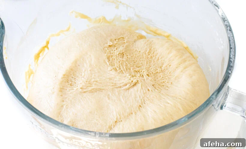 dough doubled in size in glass stand mixer bowl