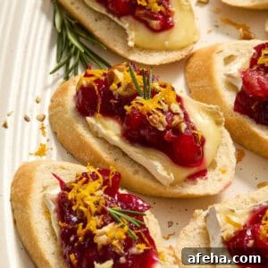 Cranberry topped brie crostini on plate topped with fresh rosemary and orange zest.