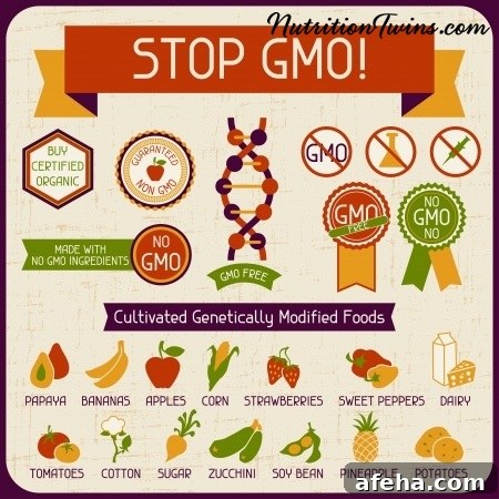 19424538 - information poster stop gmo