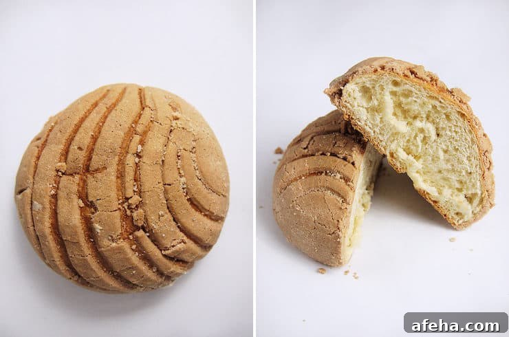 chocolate conchas Mexican sweet bread pan dulce