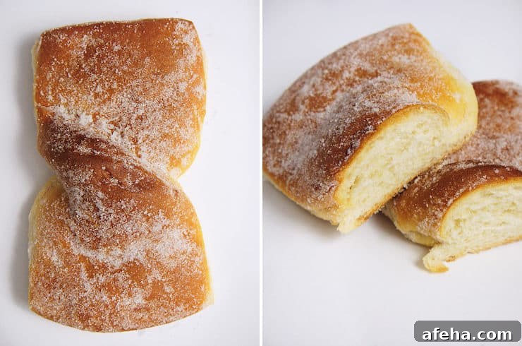 Moño or Corbatas pan dulce Mexican sweet bread