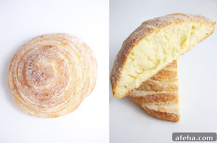 Novia sweedish roll pan dulce sweet bread