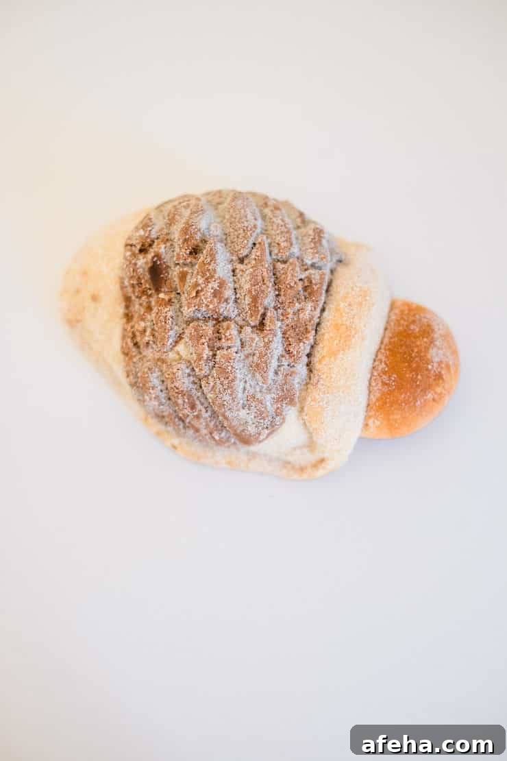 Pan Fino tortuga turtle pan dulce sweet bread