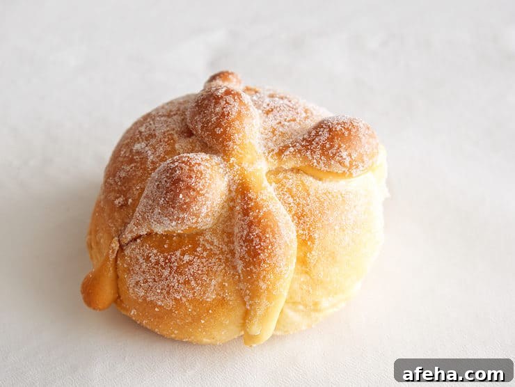 pan de muerto bread of the dead pan dulce sweet bread