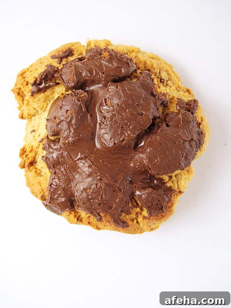 Piedraor Ladrillo pan dulce rock Mexican sweet bread