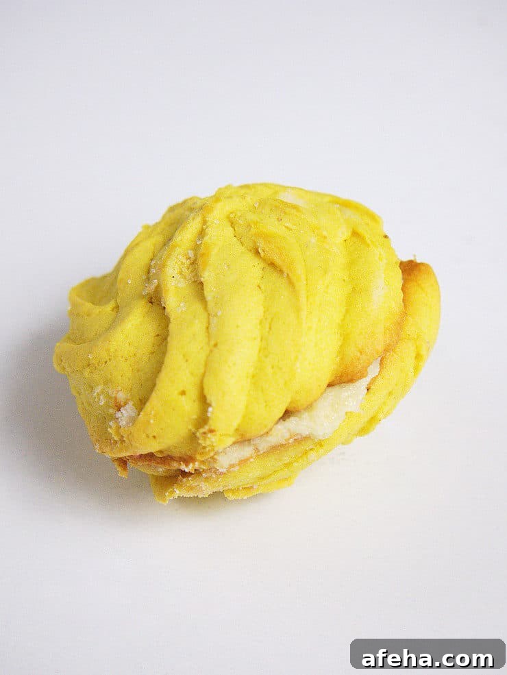yellow Almejas y Cacahuates pan dulce sweet bread