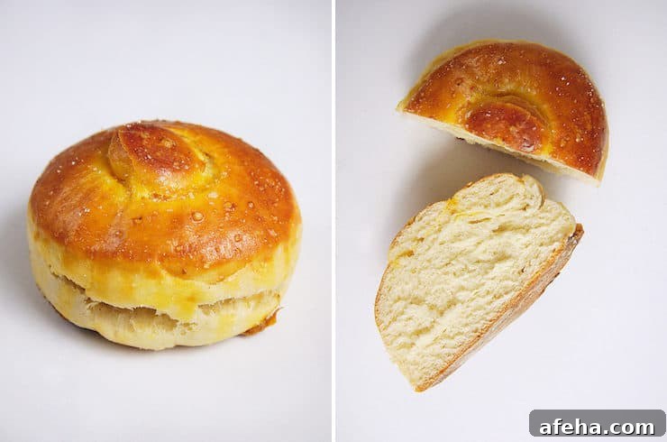 Bisquete pan dulce sweet bread