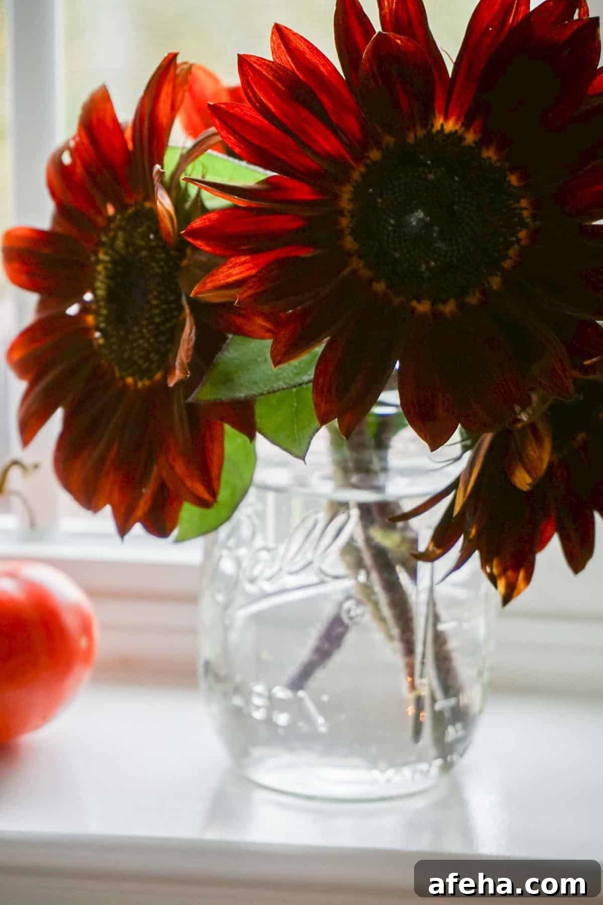 chianti sunflowers in mason jar