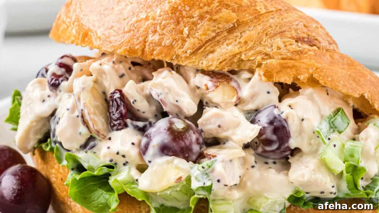 15 No-Cook Lunches That Keep You Full All Afternoon 10 Croissant Chicken Salad