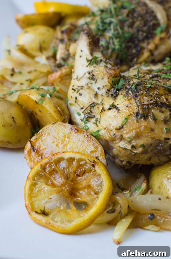 closeup of Pan Roasted Chicken Breasts with Dijon Sauce