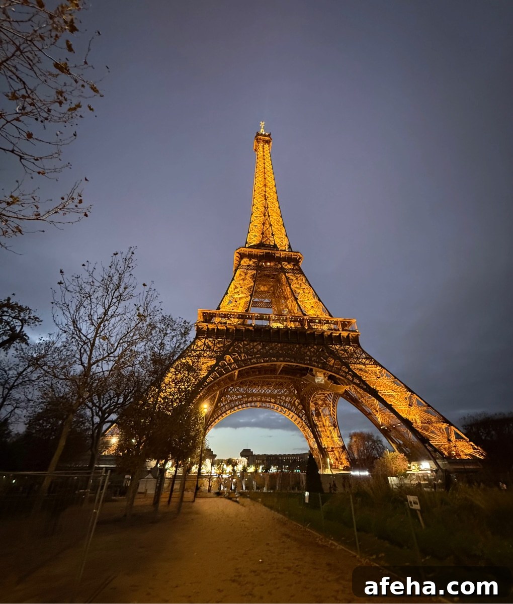 Three Days in Paris