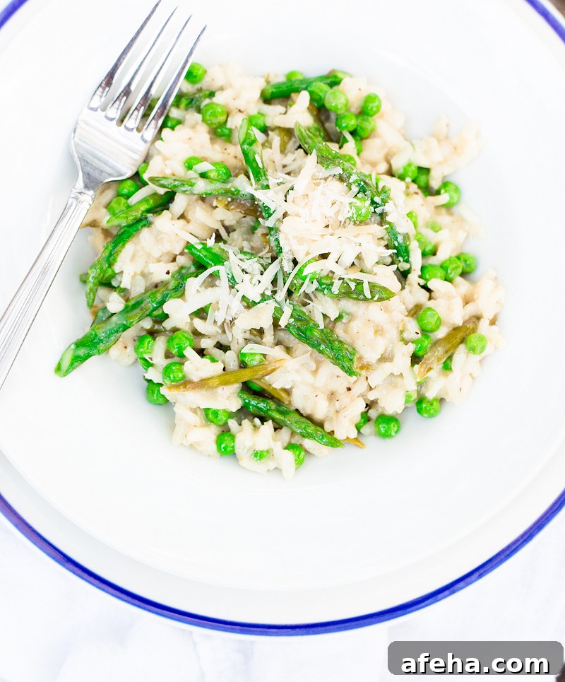 Risotto on a white and blue plate.