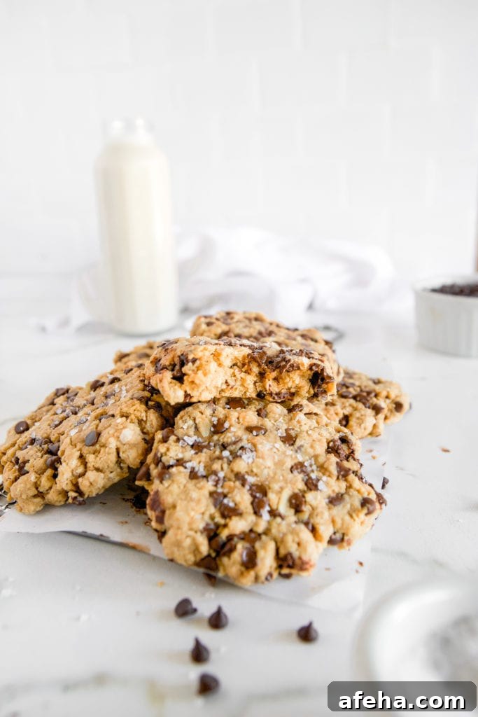 a big pile of oatmeal protein chocolate chip cookies