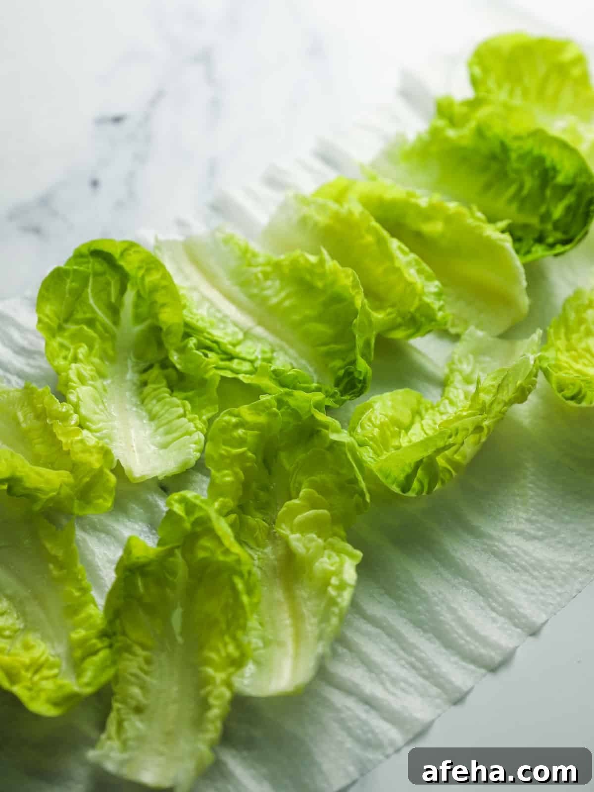 Vegan San Choy Bau Recipe: Flavorful Plant-Based Lettuce Wraps 11 Photo of lettuce leaves drying on kitchen towel.