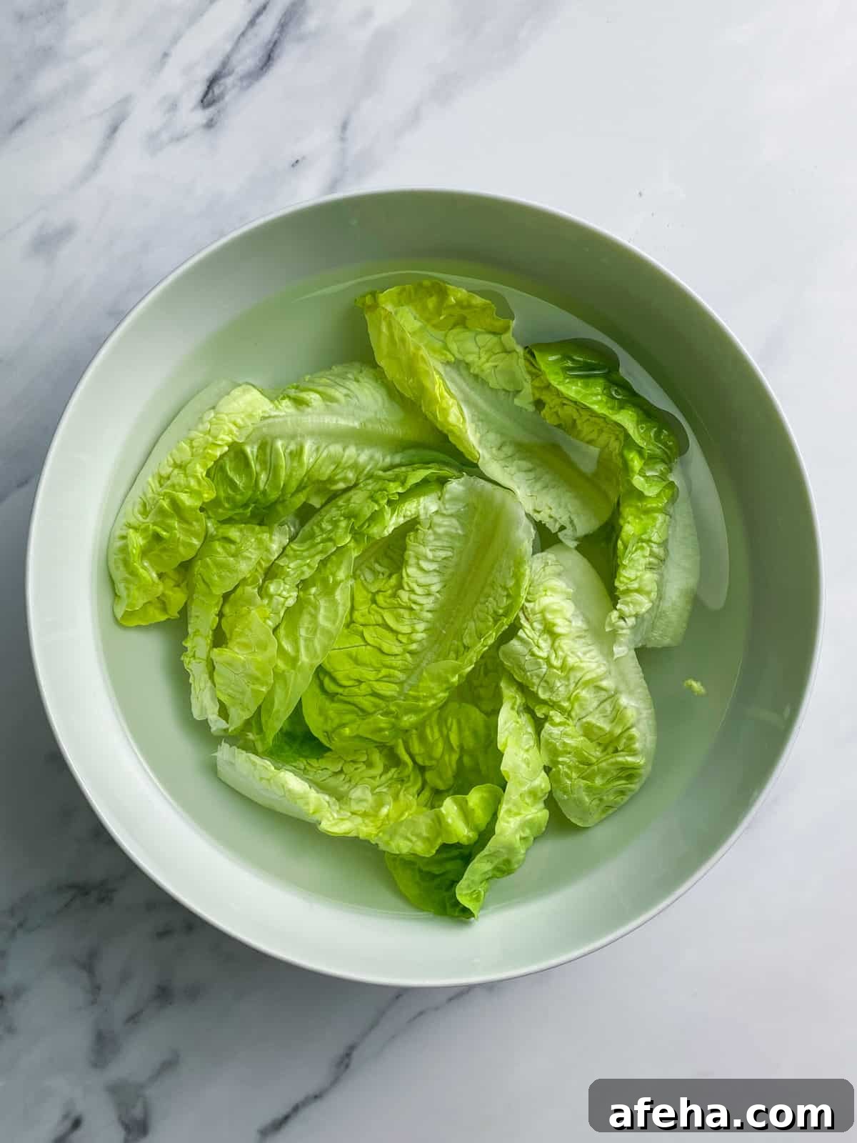 Vegan San Choy Bau Recipe: Flavorful Plant-Based Lettuce Wraps 10 Photo of a bowl of lettuce leaves soaking in iced water.
