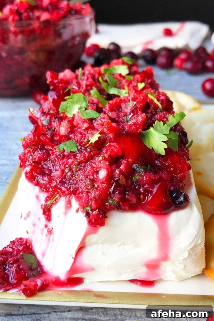 Sweet and spicy fresh cranberry salsa spooned over block of cream cheese and garnished with cilantro. 