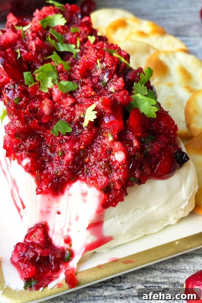Christmas holiday appetizer on dish with crackers. 