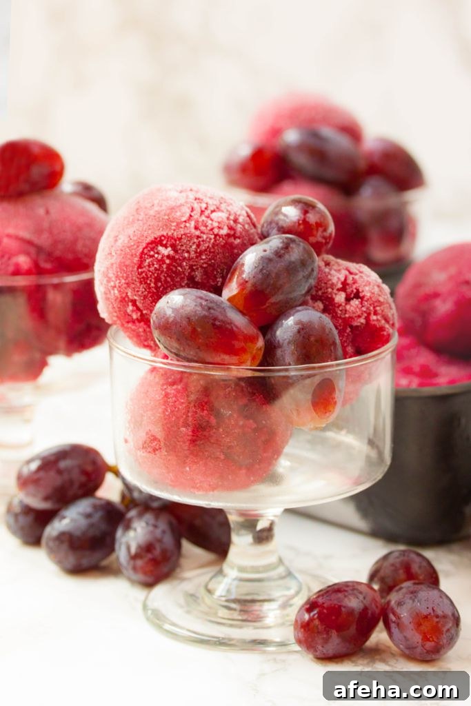 Red Grape Sorbet