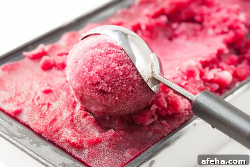 Red Grape Sorbet