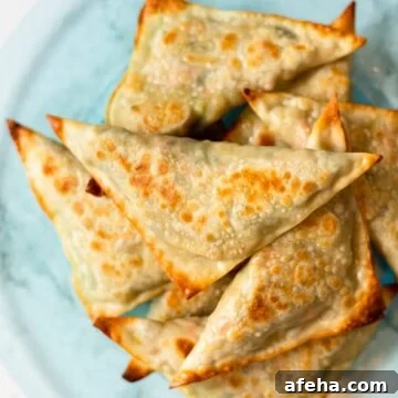 A top down view of a plate of baked samosas.
