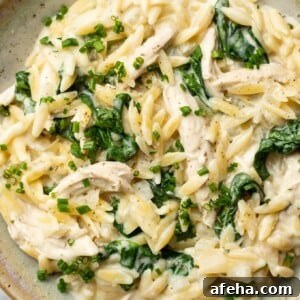 a bowl of boursin orzo with chicken