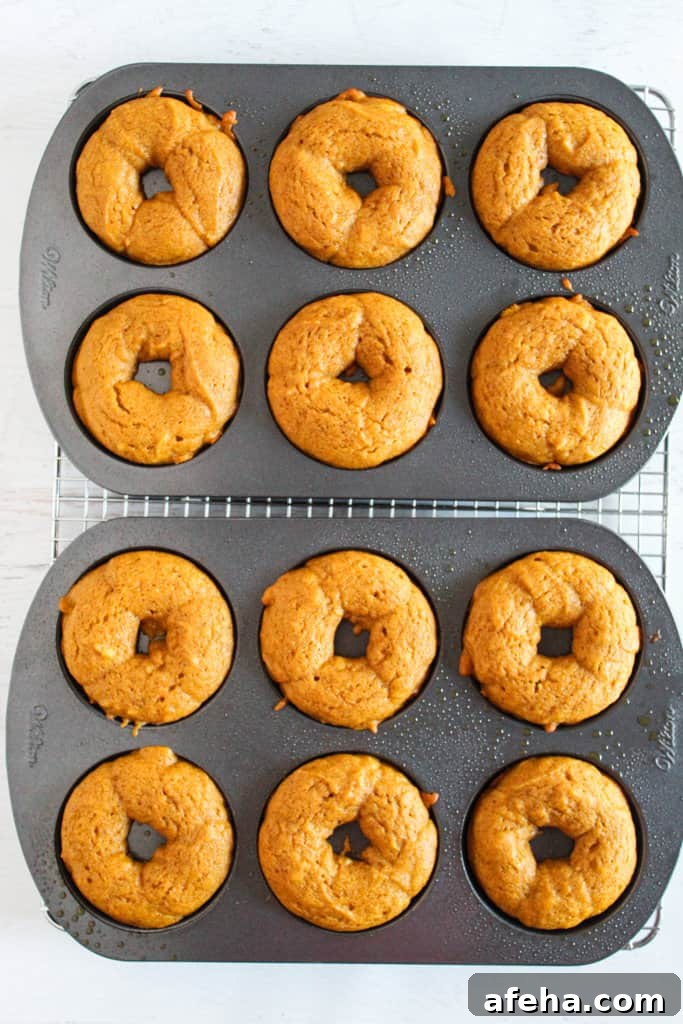 Spiced Gluten-Free Pumpkin Donuts: Soft Autumn Recipe 10 pan of baked pumpkin donuts.