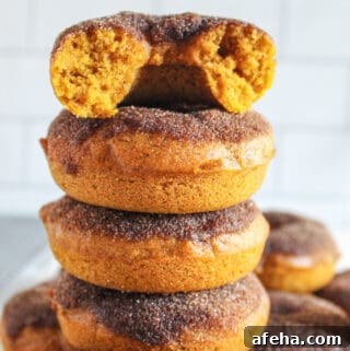 Spiced Gluten-Free Pumpkin Donuts: Soft Autumn Recipe 13 stack of gluten free pumpkin donuts.