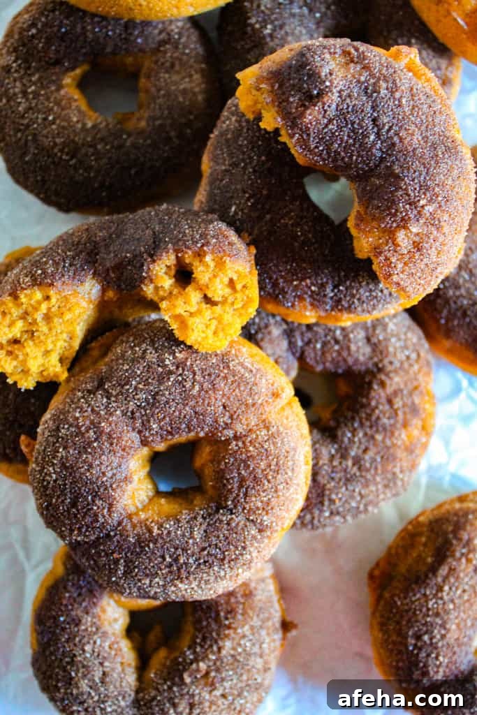 Spiced Gluten-Free Pumpkin Donuts: Soft Autumn Recipe 14 inside of a gluten free pumpkin donut.
