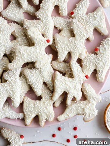 Reindeer Animal Cookies by Baking The Goods