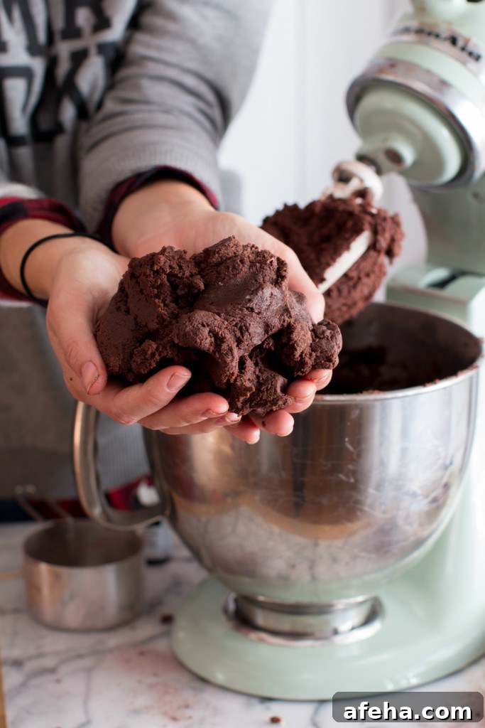 Chocolate Mocha Cookie Dough