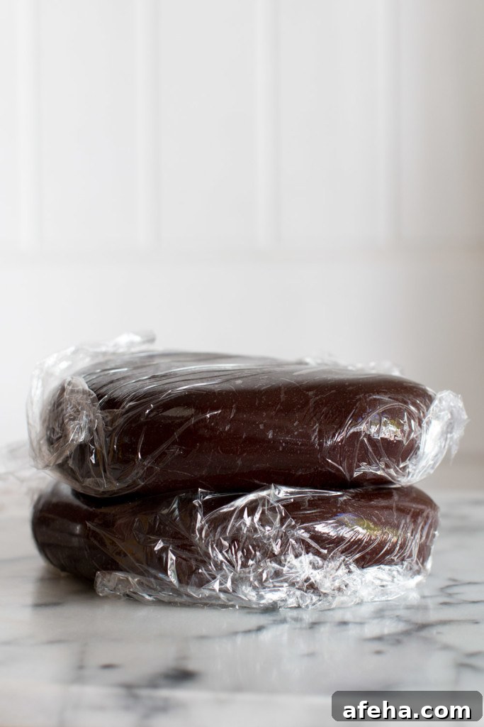 Chocolate mocha cookie dough disks