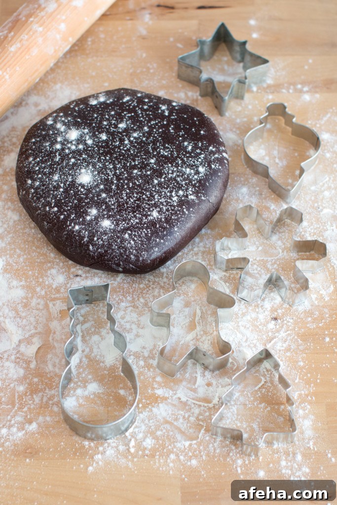 Chocolate holiday cookie dough
