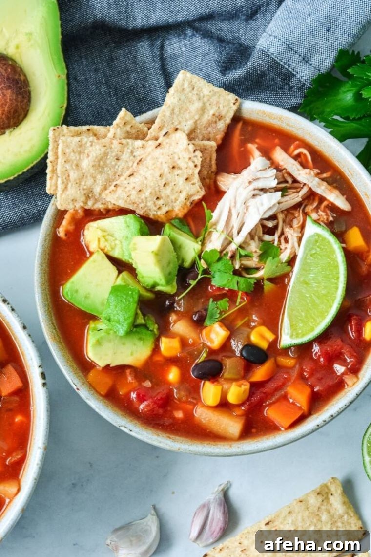 Mexican Soup With Chicken