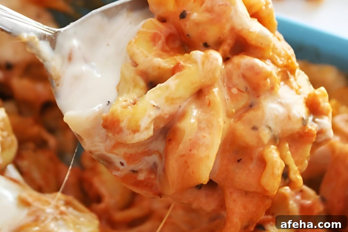 Cheesy tortellini casserole fresh from the oven.