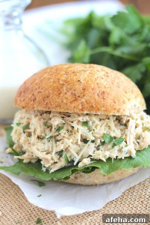 Wheat buns piled high with chicken caesar filling.