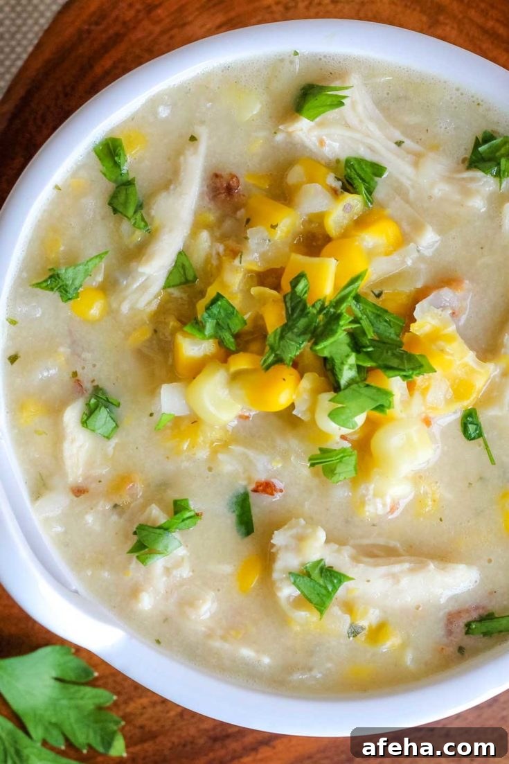 Closeup overhead of bowl of corn chowder.