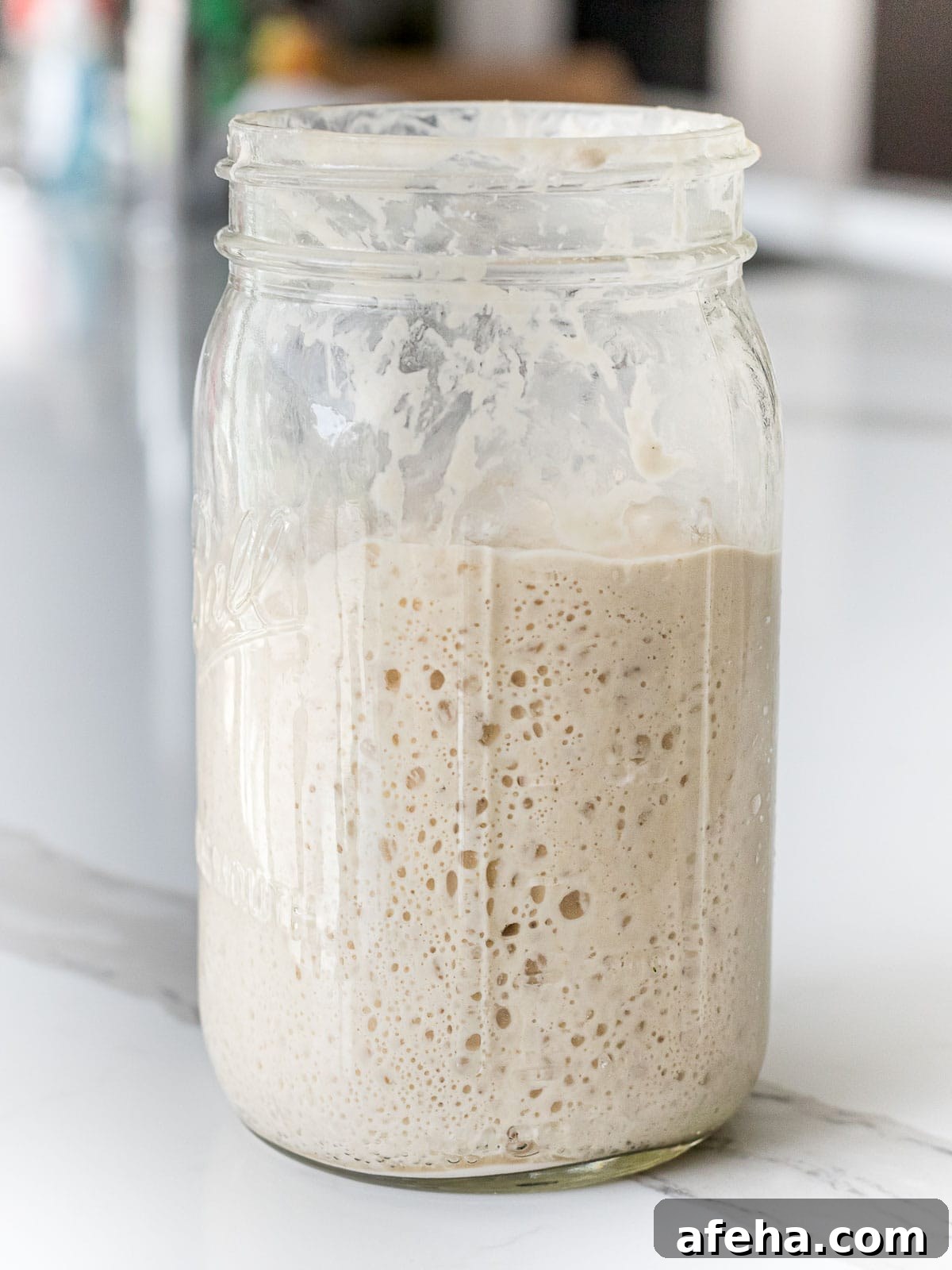 wild yeast sourdough starter showing signs of activity after a feeding