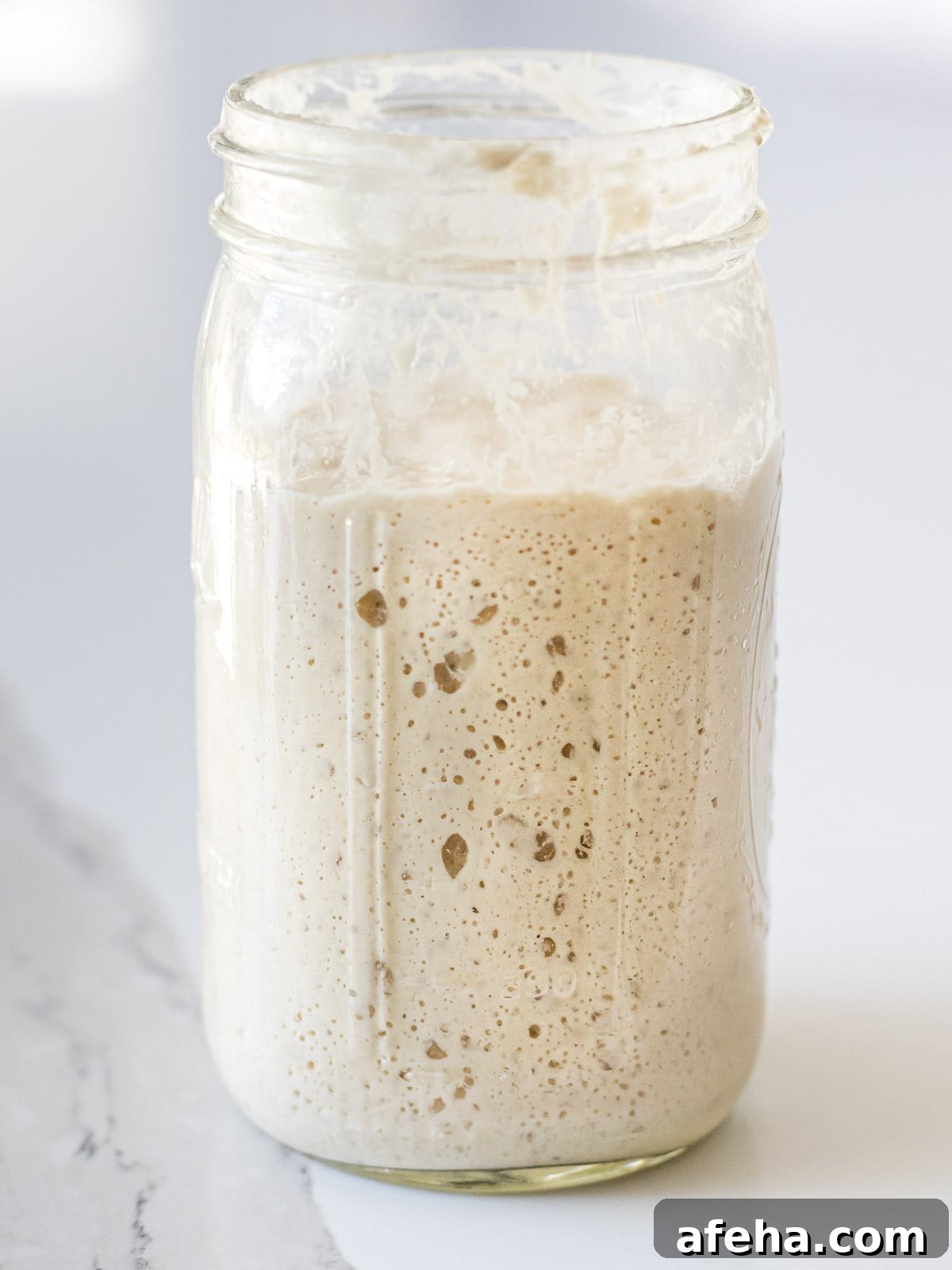 mature sourdough starter in a glass mason jar after feeding