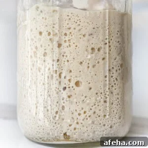 close up of active sourdough starter in a glass jar