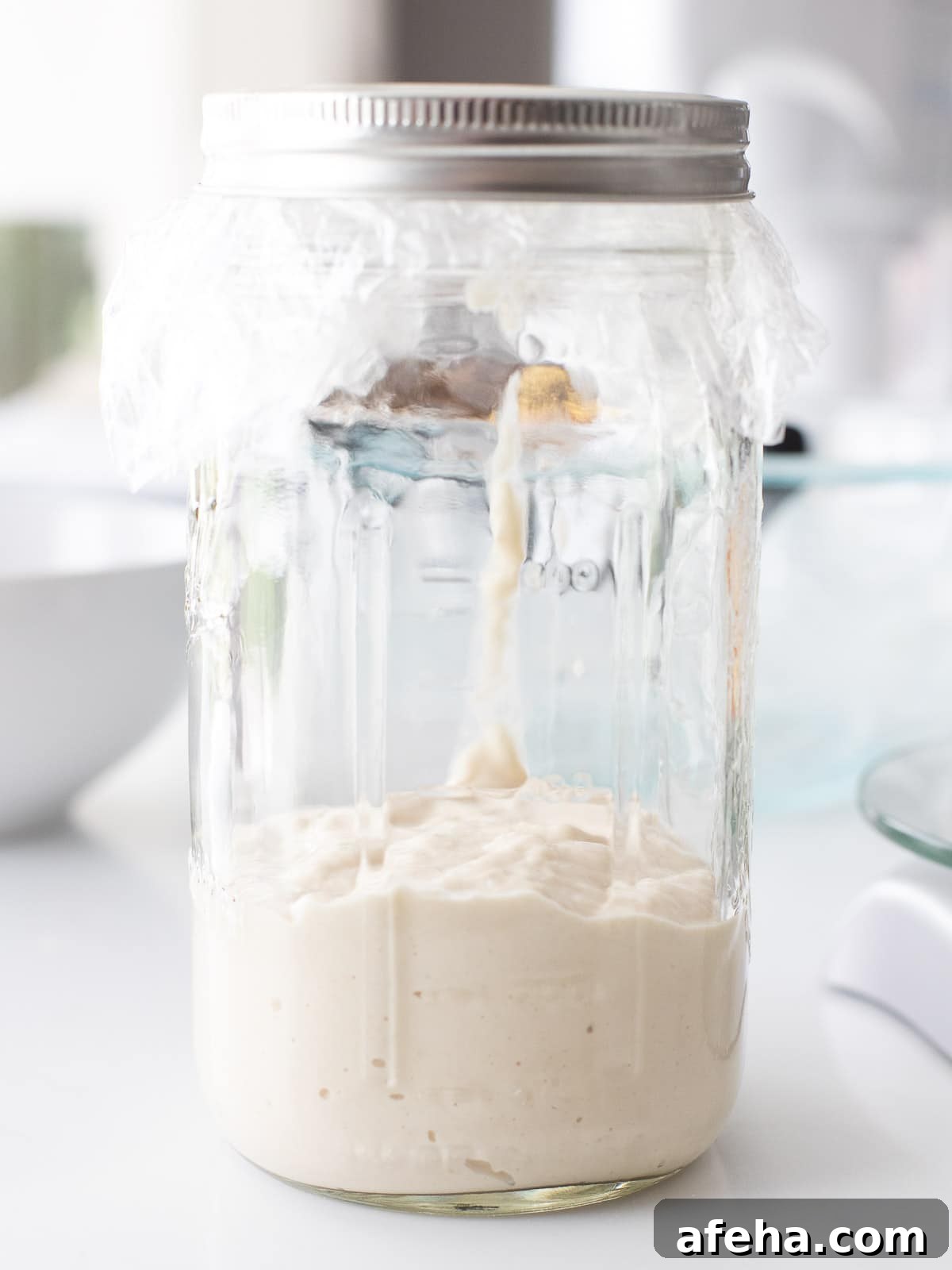 first day of sourdough starter in a glass mason jar