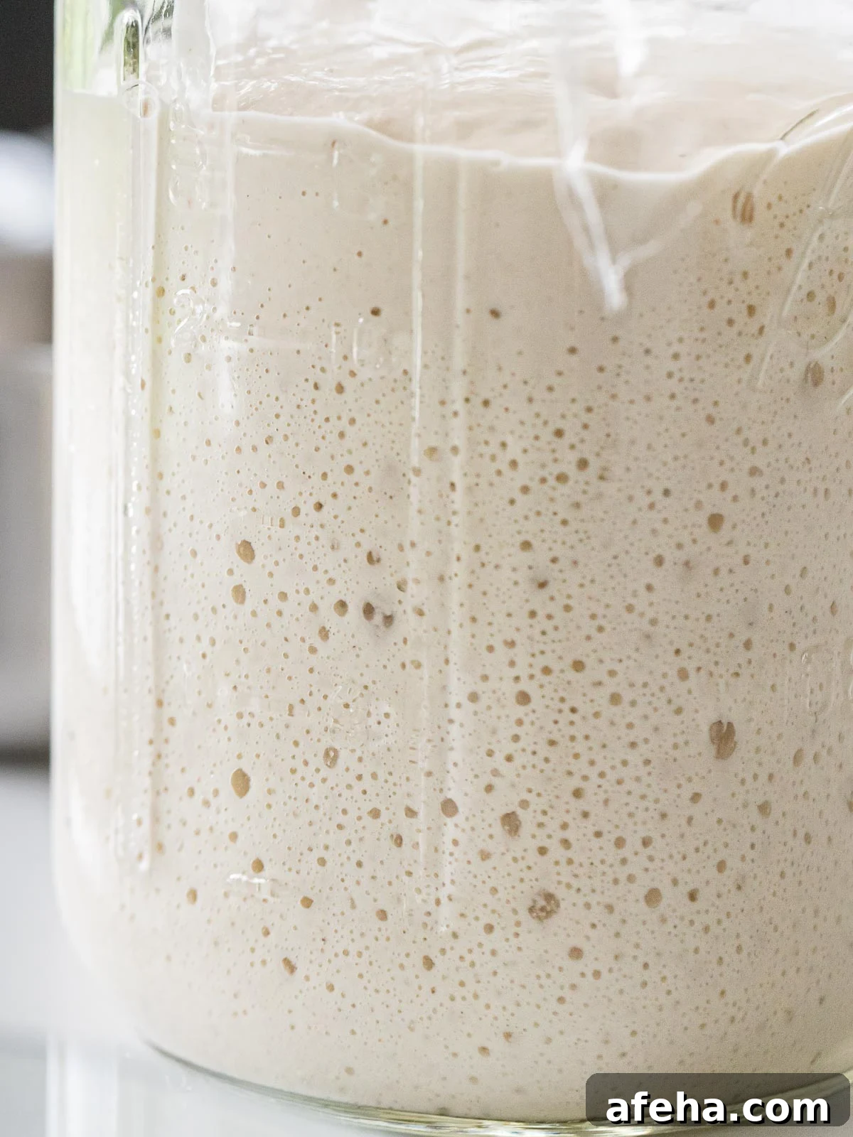 close up of active sourdough starter with little bubbles forming
