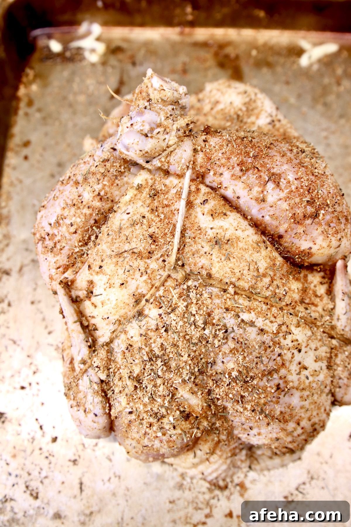 Seasoned chicken - tied up ready to grill