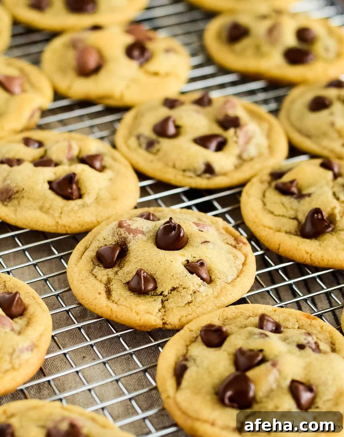 stack of chocolate chip cookies
