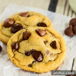 1 egg cookie recipe with chocolate chips