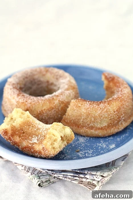 baked sour cream doughnuts coated in granulated sugar served on a blue plate