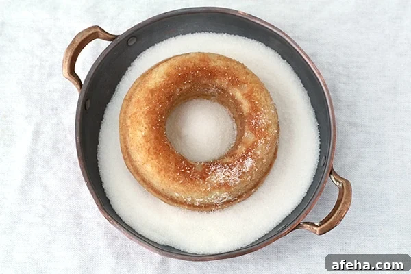 baked donut in a dish of granulated sugar to coat it all around