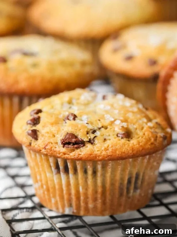 Close-up view of a sourdough chocolate chip muffin on a cooling rack.