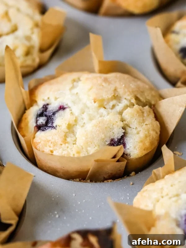 Sourdough blueberry muffins in parchment liners in a baking pan.